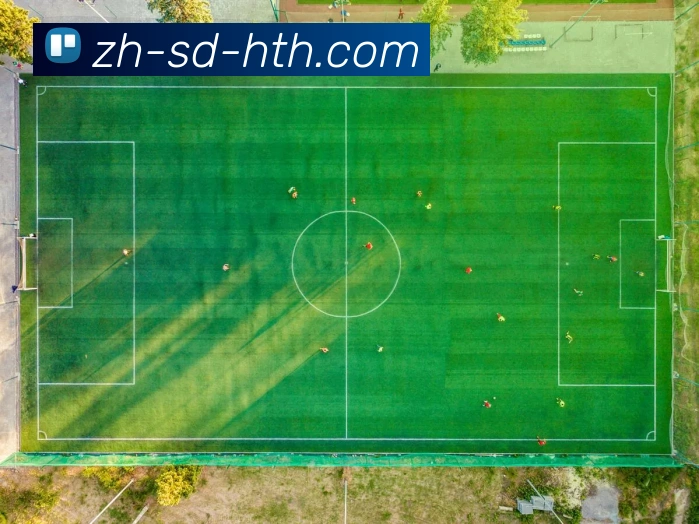 华体会登录入口APP 封面图