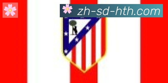 华体会hth登录入口合作伙伴